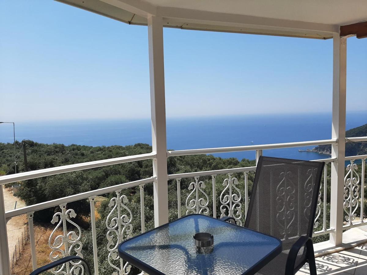 Zoe'S Studios Πάργα Εξωτερικό φωτογραφία